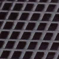 Source crop from XT509278, lossless
