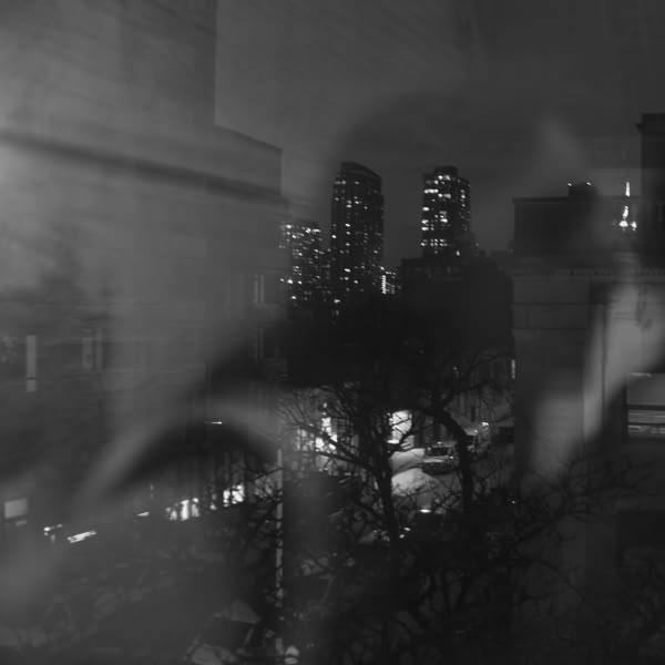 A city skyline at night.