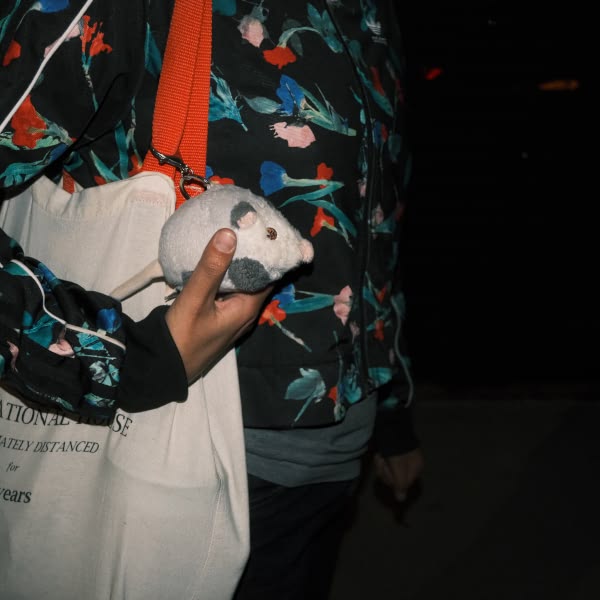 A person holding a white bag with a mouse in it.
