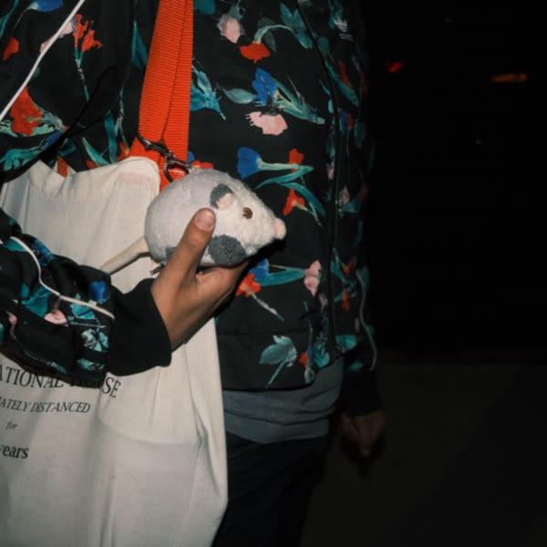 A person holding a white bag with a mouse in it.