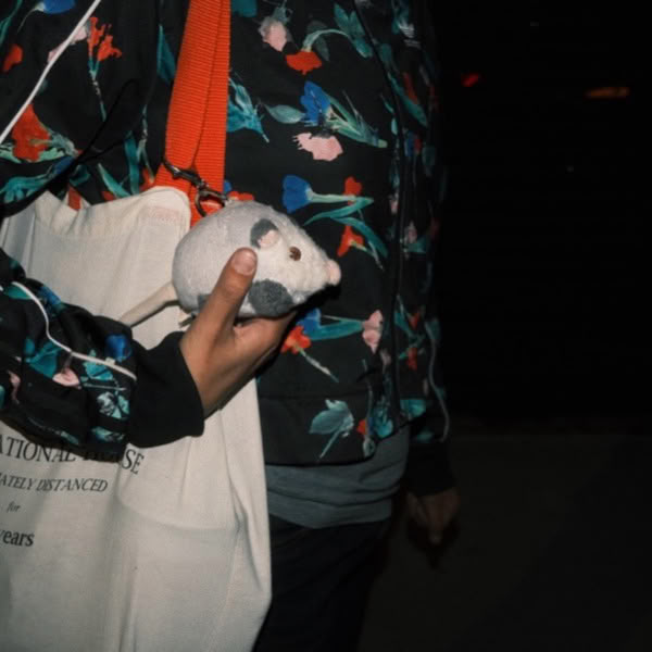 A person holding a white bag with a mouse in it.