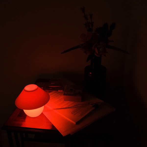 A table with a lamp and a book on it.