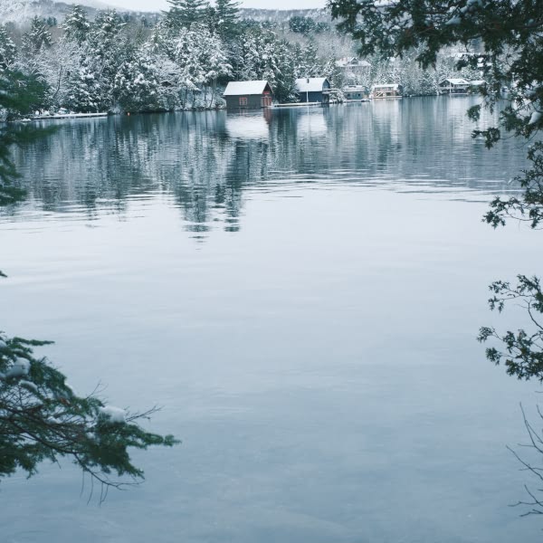 A lake with snow on the trees.