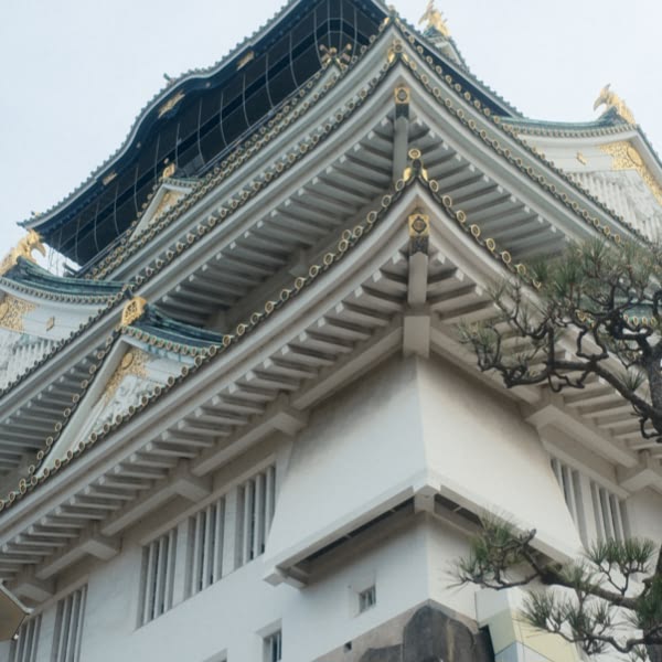 A white building with a gold roof.