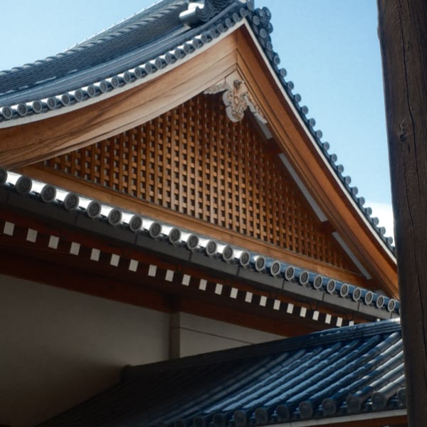 A roof with a wooden structure.