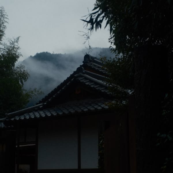 A house with a white roof and a tree in front of it.