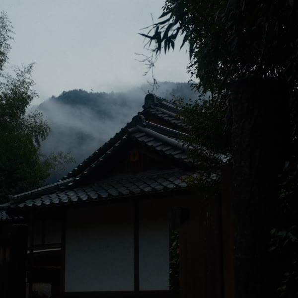 A house with a white roof and a tree in front of it.